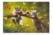Educa - Puzzle 500 Piese Tara Pisicilor